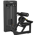 Разгибание спины Spirit Fitness SP-4310 120_120